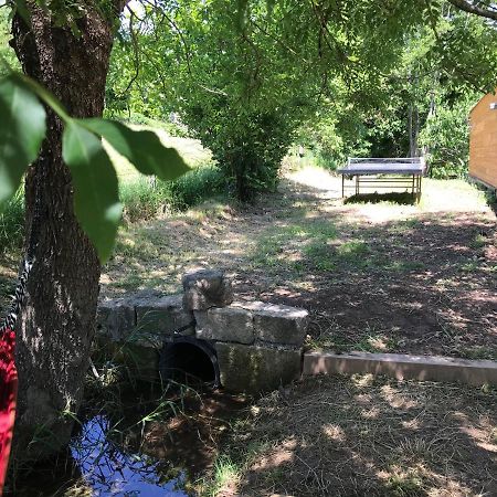 Gite Dans Le Sud Aveyron سانت أفريك المظهر الخارجي الصورة